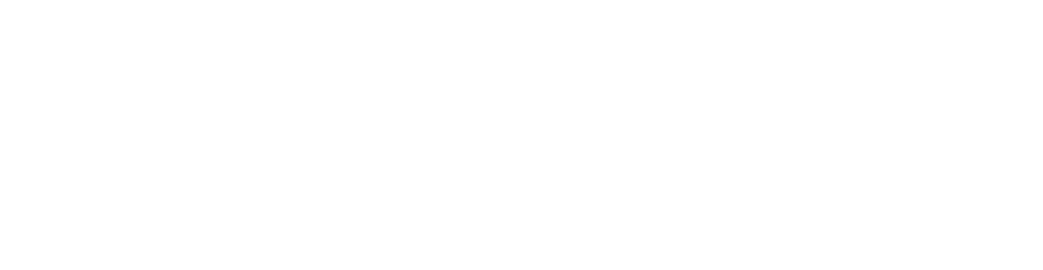 Vicus Capital Advisors